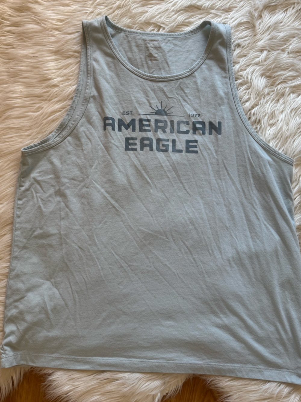 American Eagle Light Blue Crewneck Tee with White Print